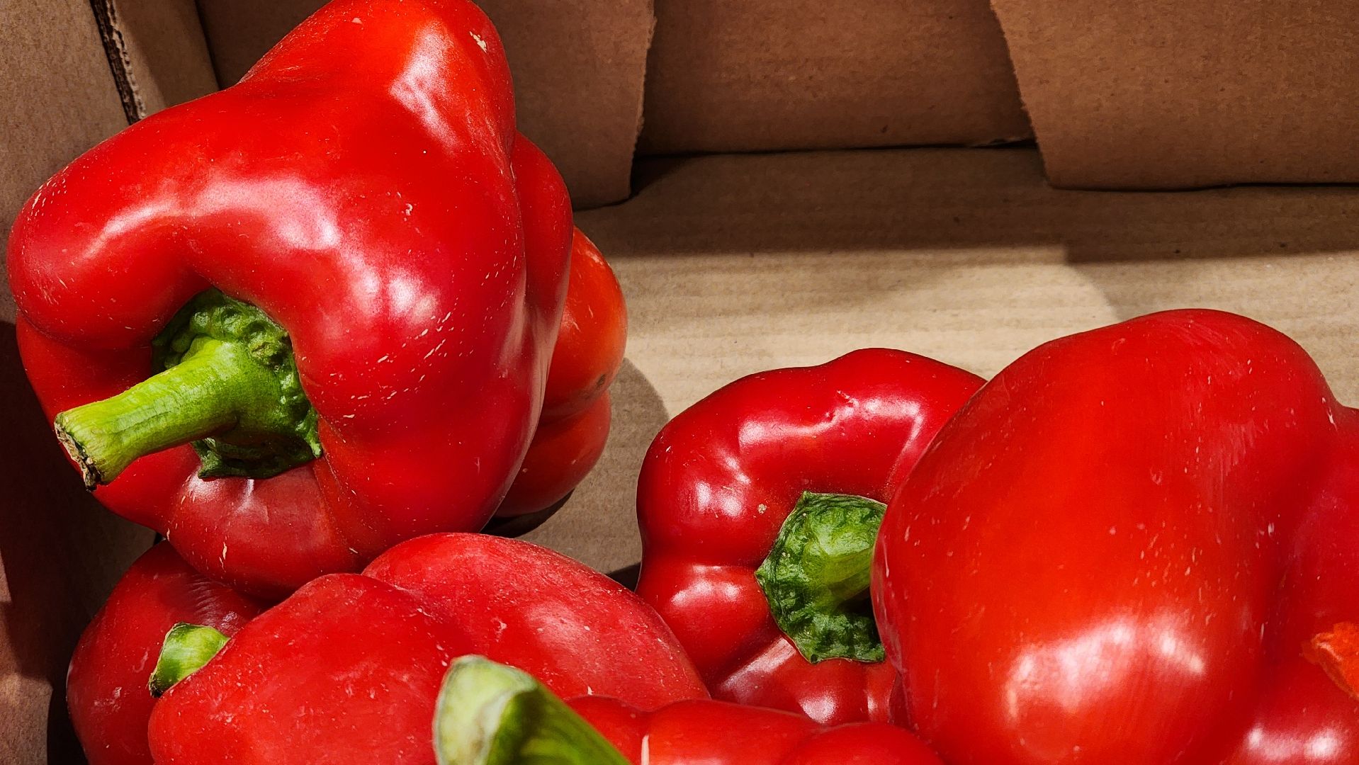 супермаркет, открытие магазина, пятерочка, Старая Купавна, Богородский городской округ,