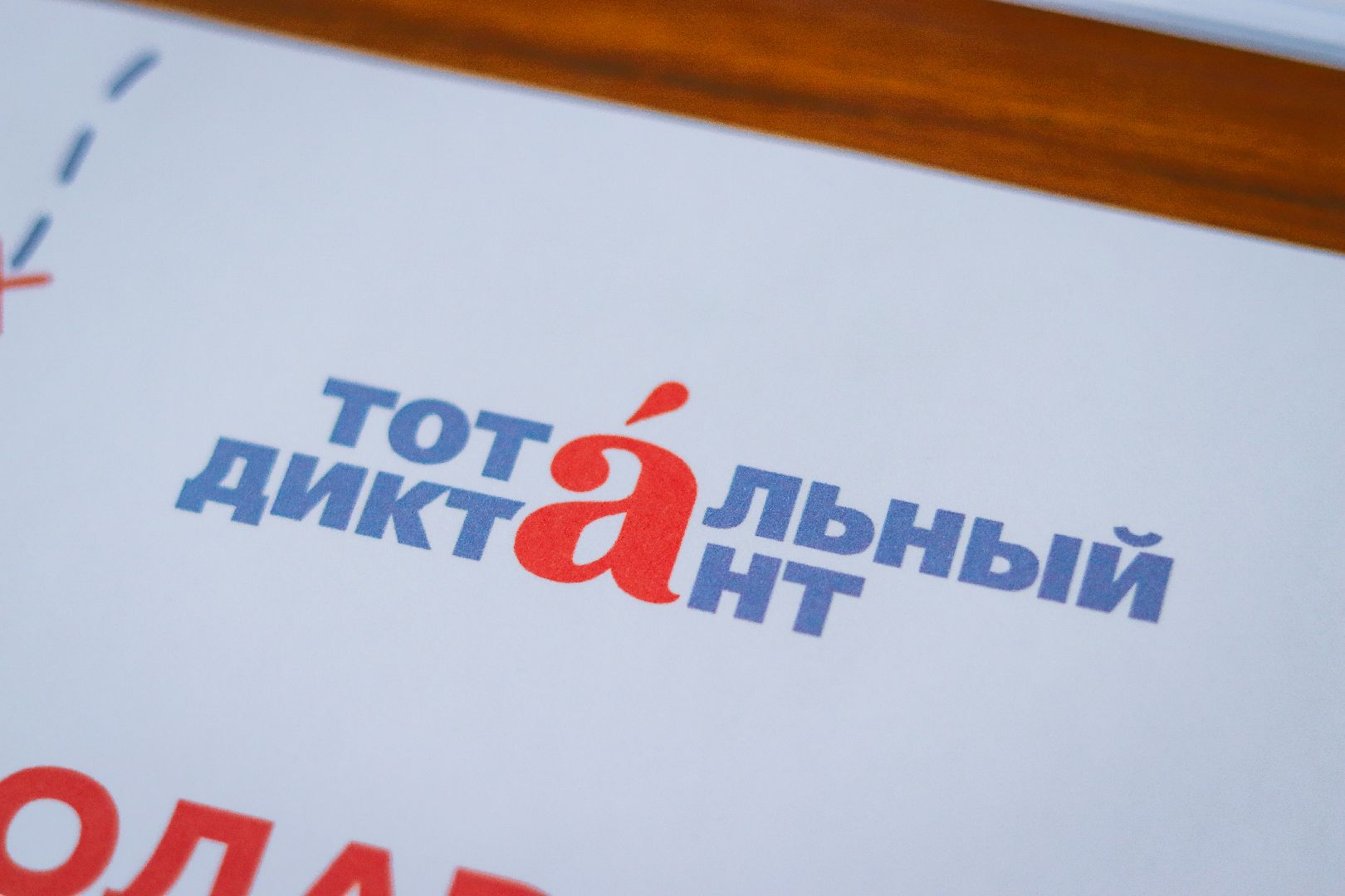 клин, общество, тотальный диктант, образование,