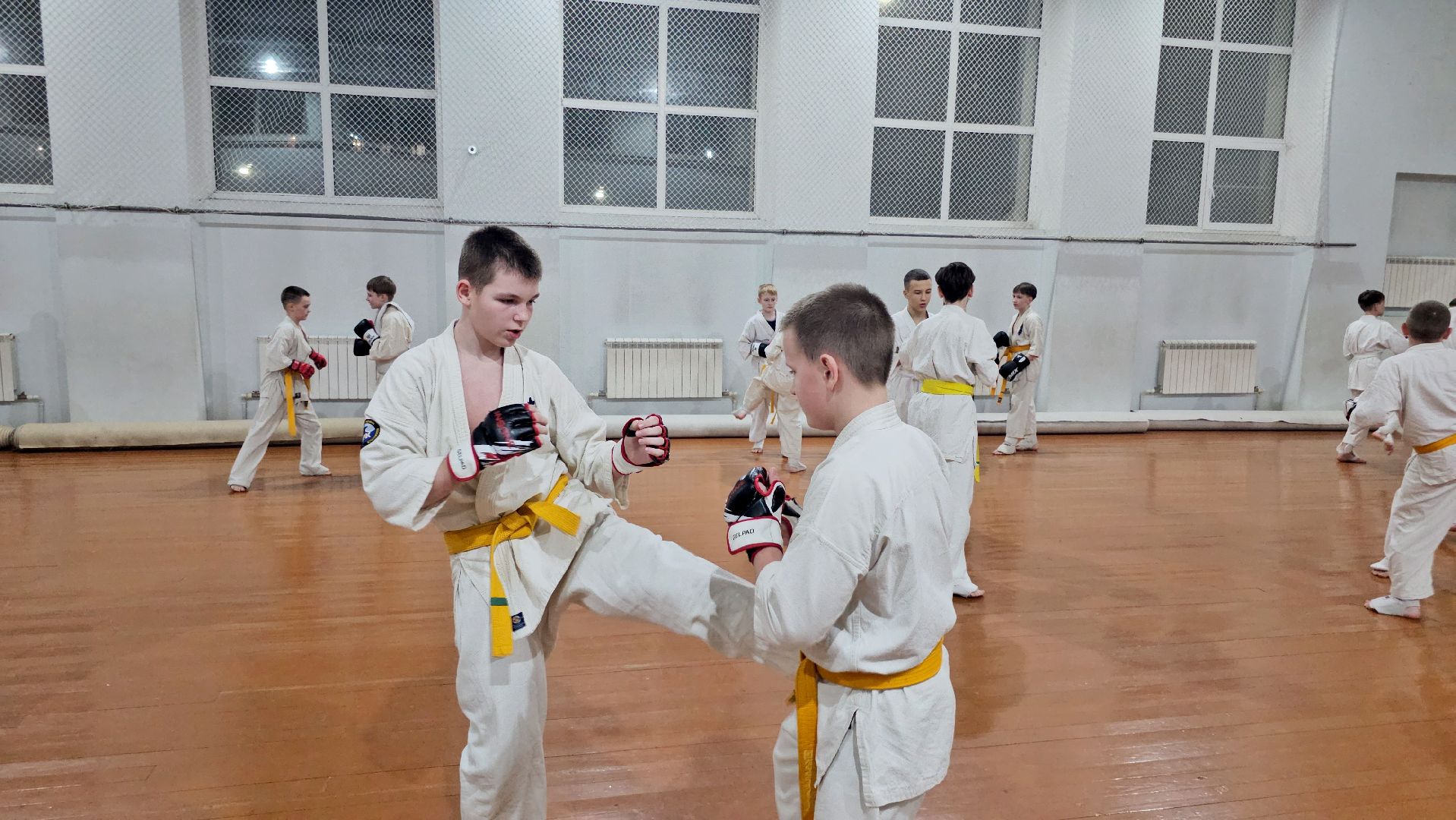 луховицы, спорт в луховицах, киокусинкай,