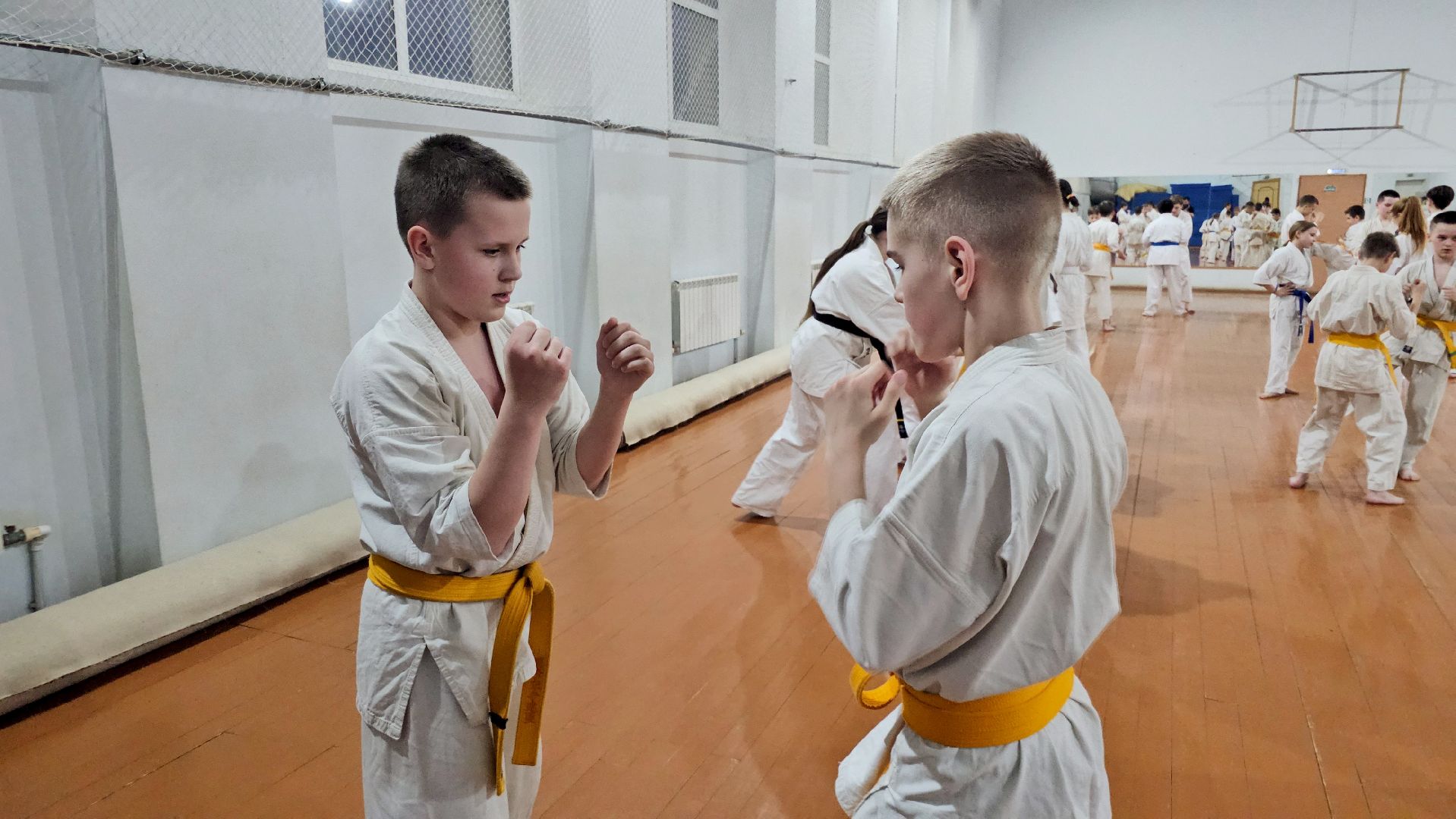 луховицы, спорт в луховицах, киокусинкай,