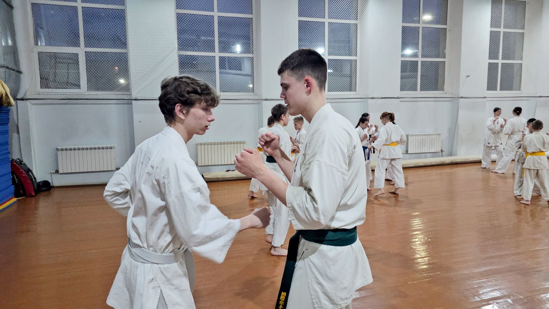 луховицы, спорт в луховицах, киокусинкай,