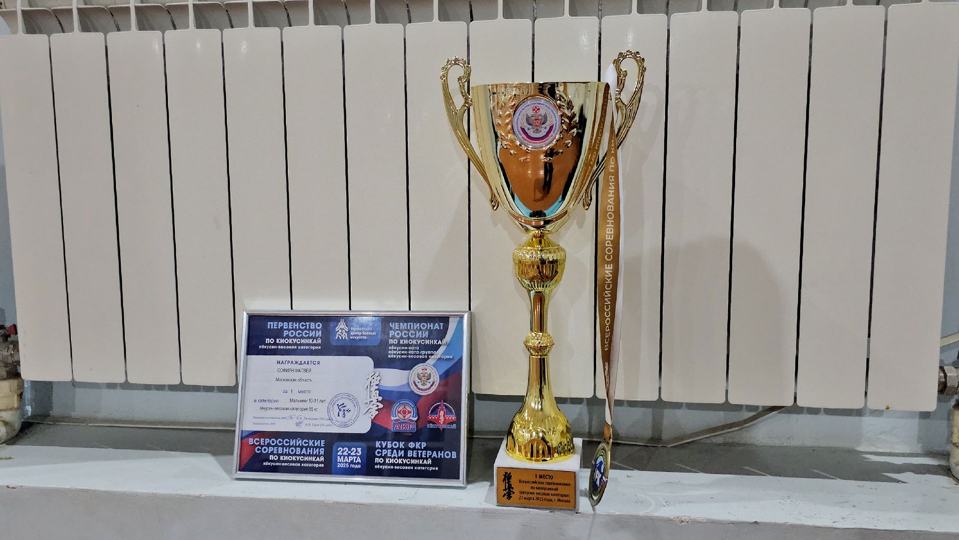 луховицы, спорт в луховицах, киокусинкай,