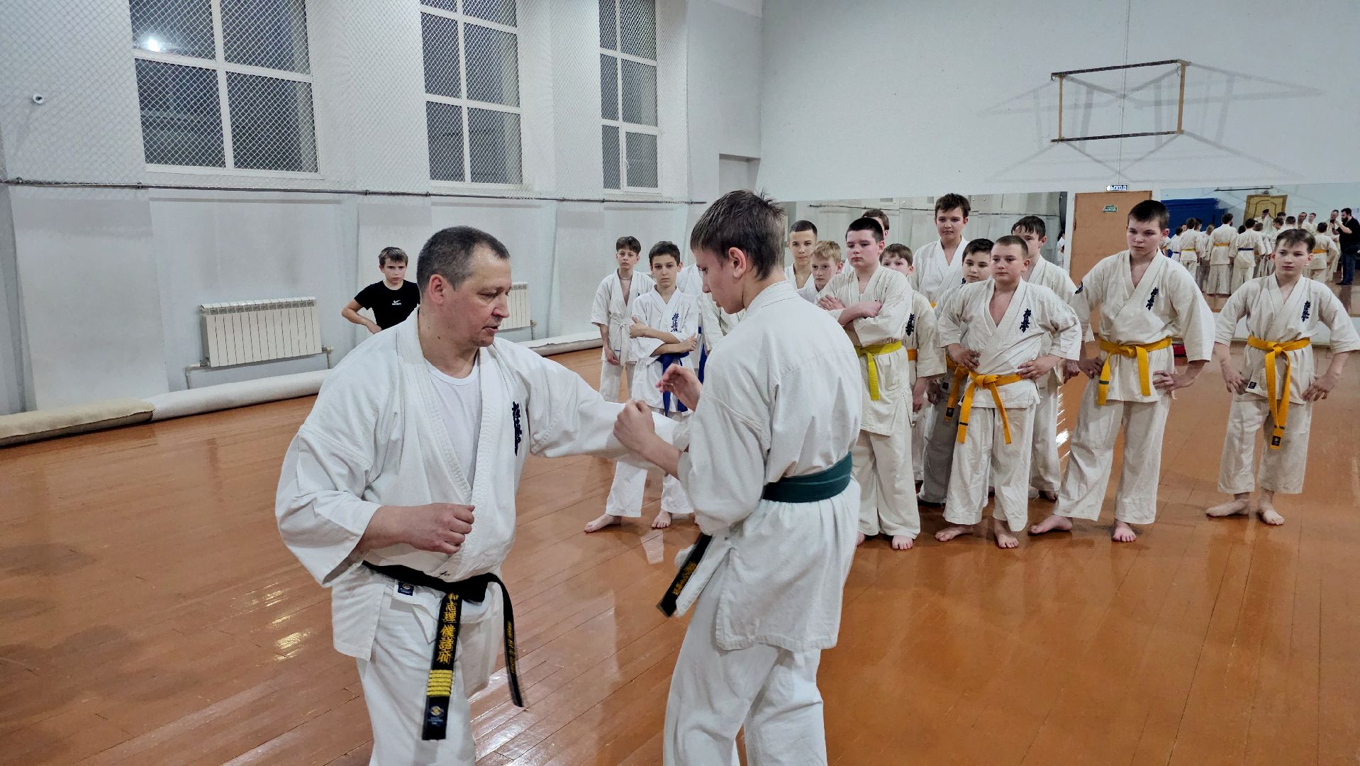 луховицы, спорт в луховицах, киокусинкай,