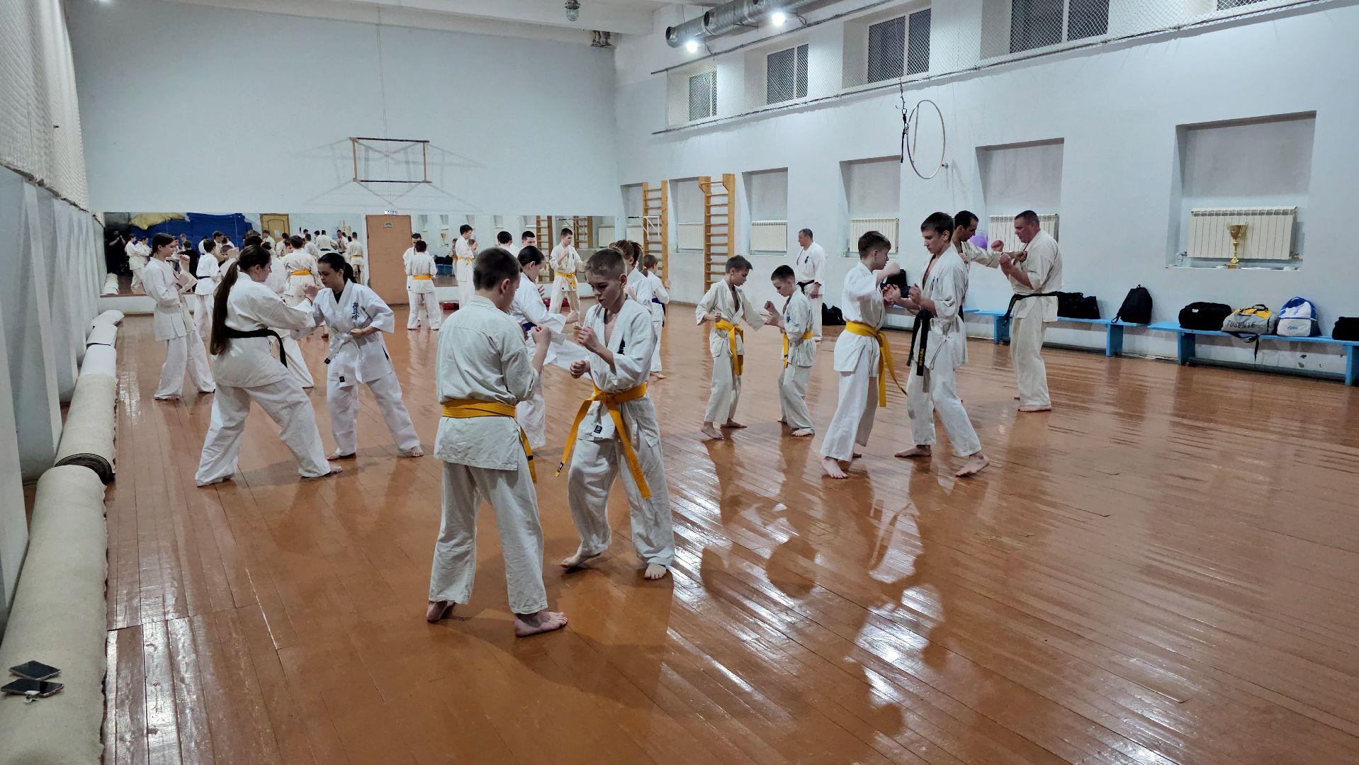 луховицы, спорт в луховицах, киокусинкай,