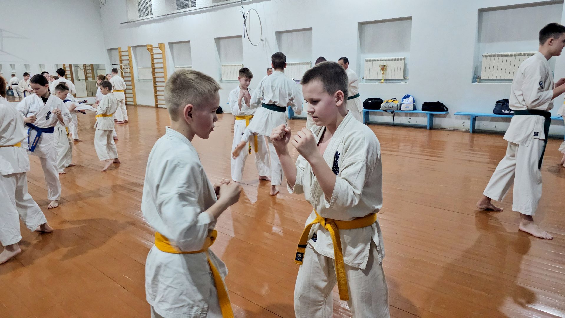 луховицы, спорт в луховицах, киокусинкай,