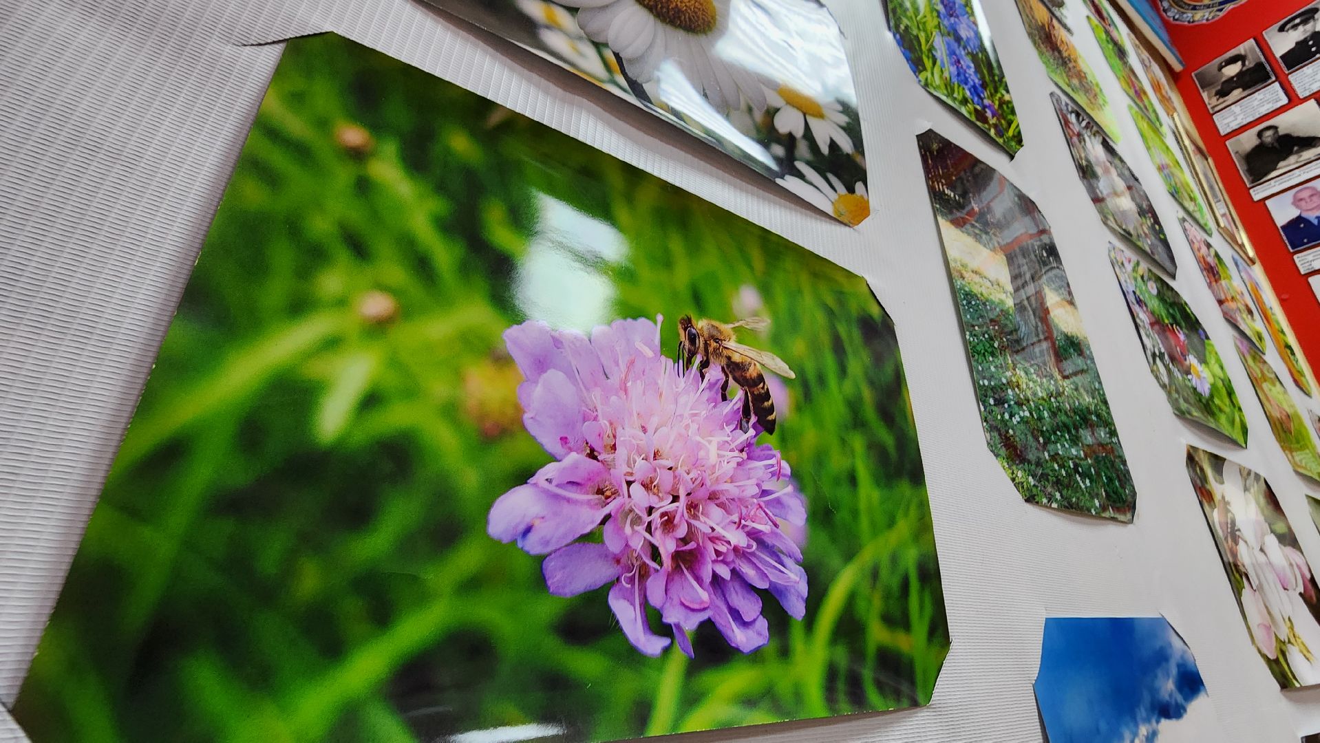 музей милиции, руза, конкурс рисунков, полиция глазами детей, новая экспозиция,