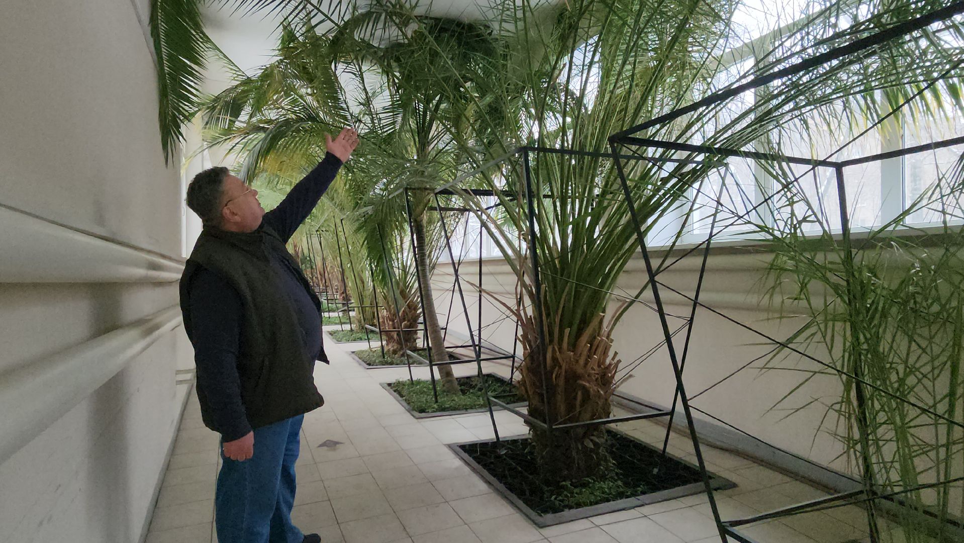 люберцы, глава городского округа люберцы владимир волков, люберецкая больница, оранжерея пальм, ухтомская больница,