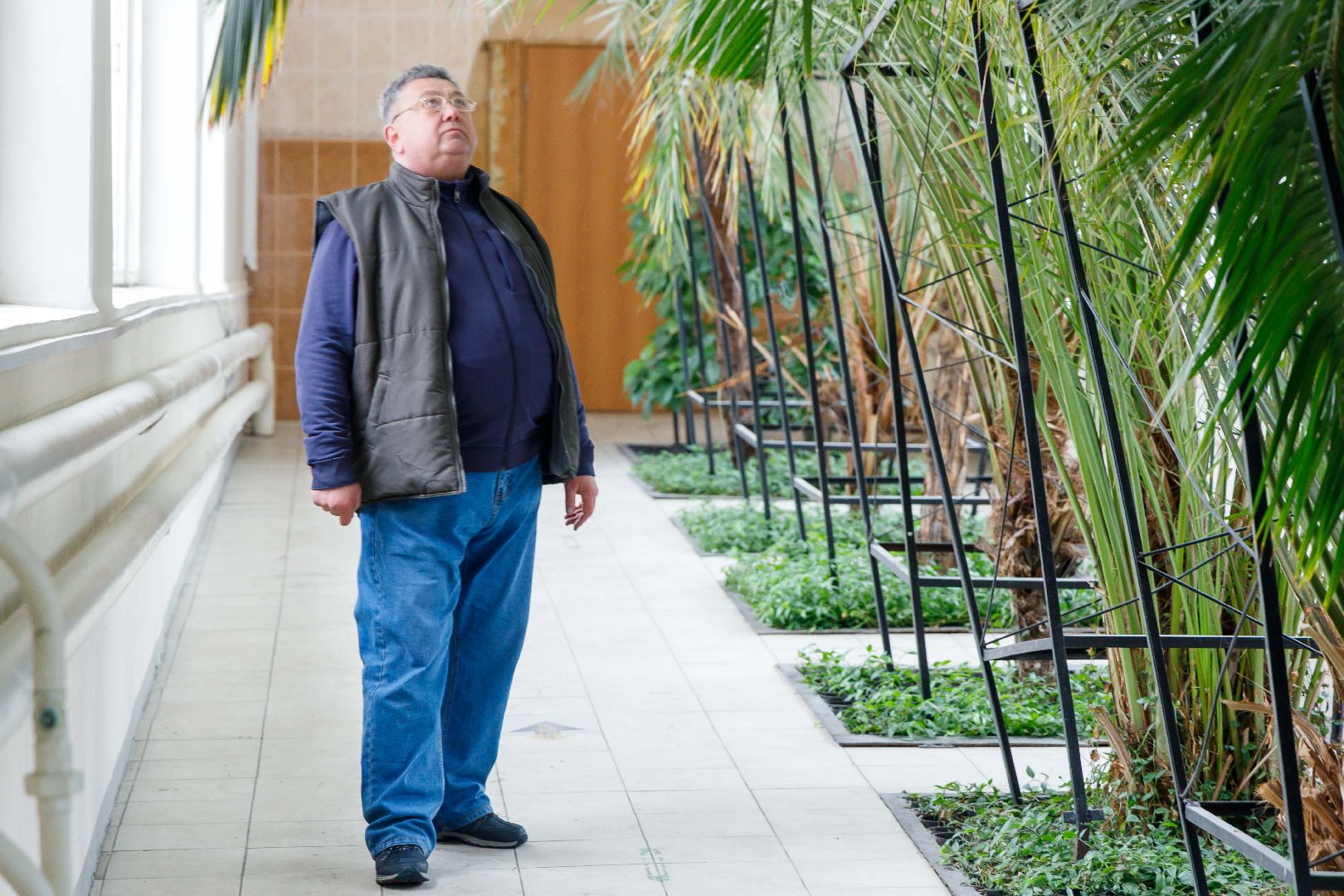 люберцы, глава городского округа люберцы владимир волков, люберецкая больница, оранжерея пальм, ухтомская больница,