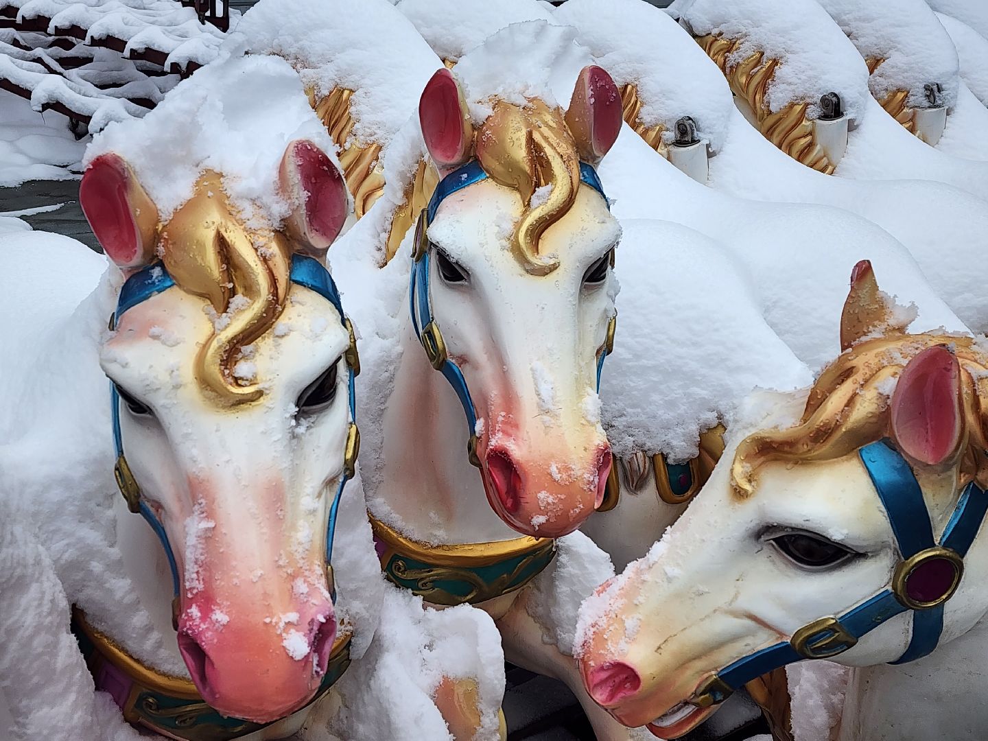 королёв, центральный парк, благоустройство, аттракционы,