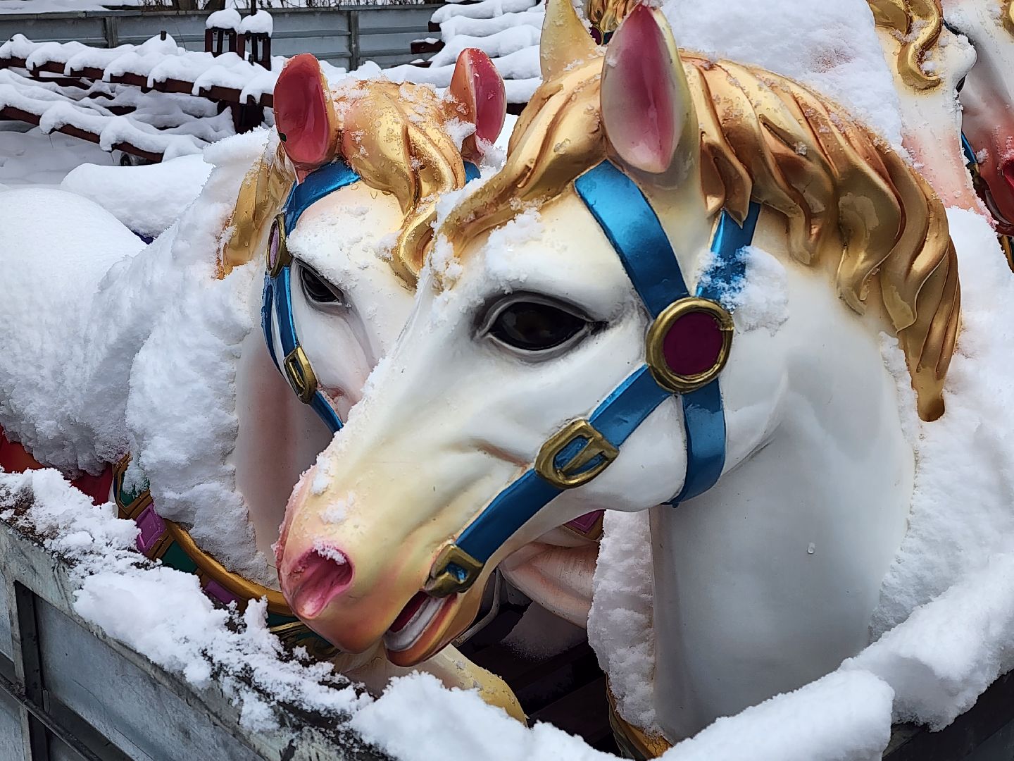 королёв, центральный парк, благоустройство, аттракционы,