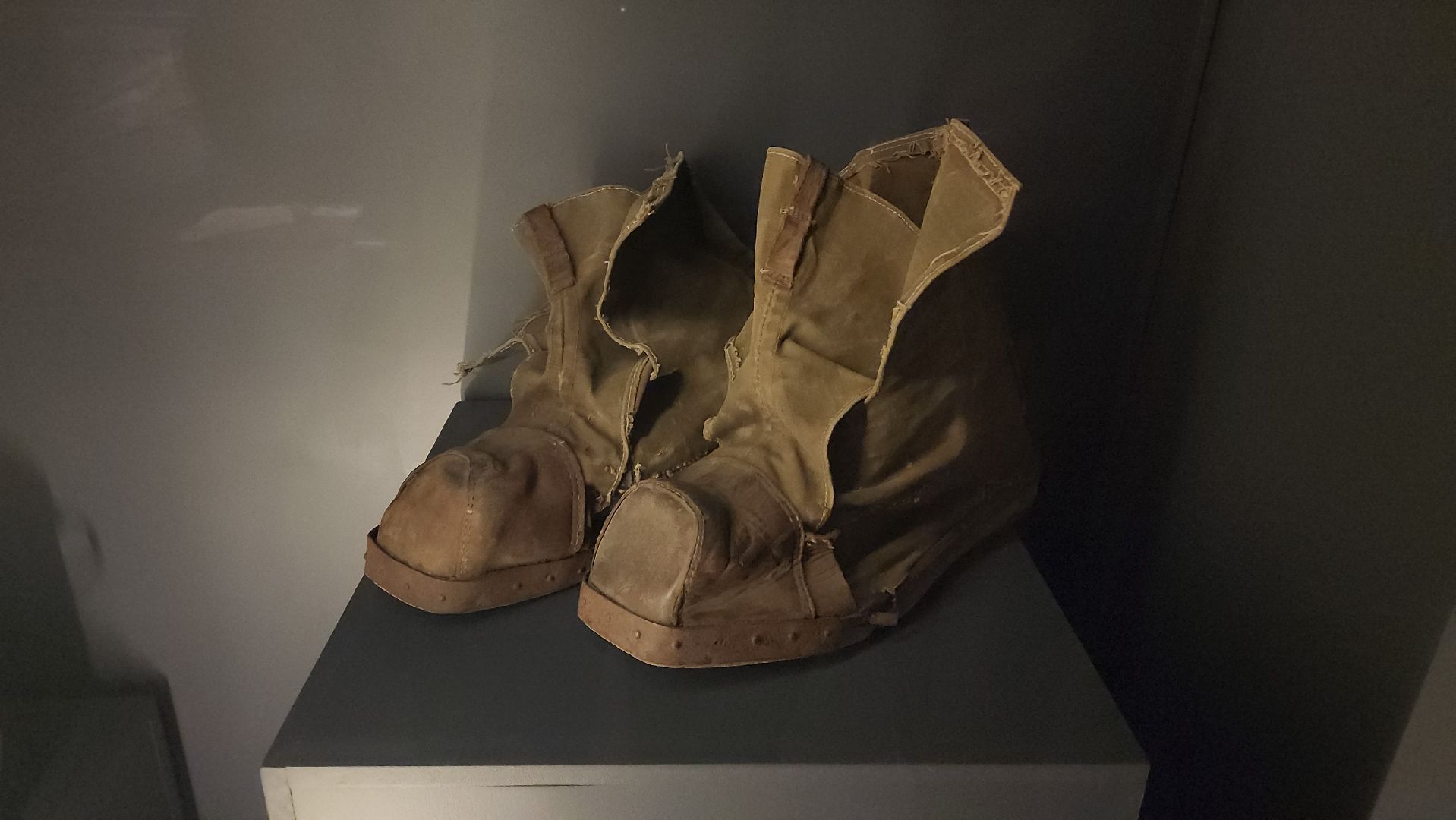 красногорск, ветераны, малолетние узники, день победы,