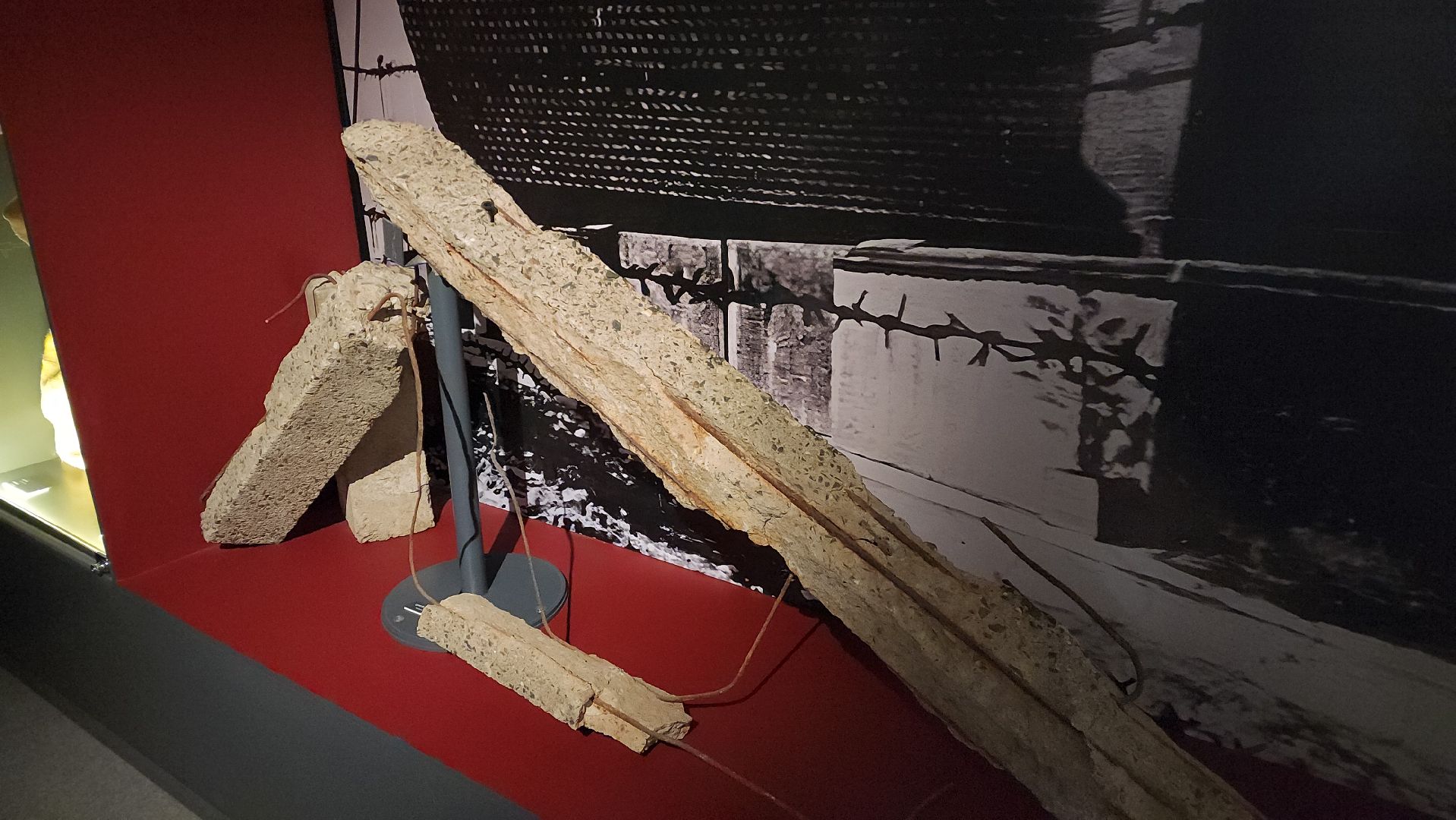 красногорск, ветераны, малолетние узники, день победы,