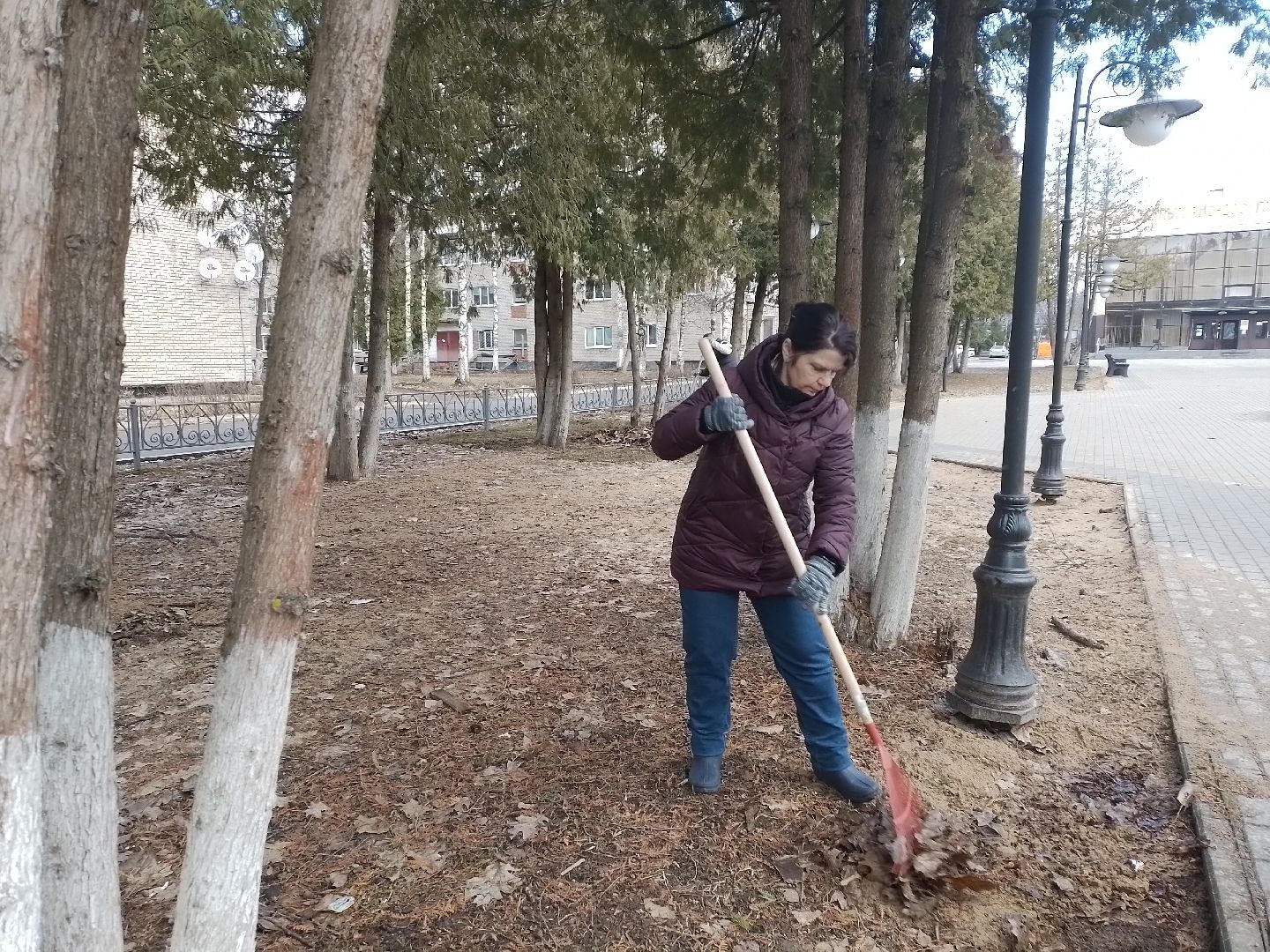 субботник, благоустройсво, городской округ восход,