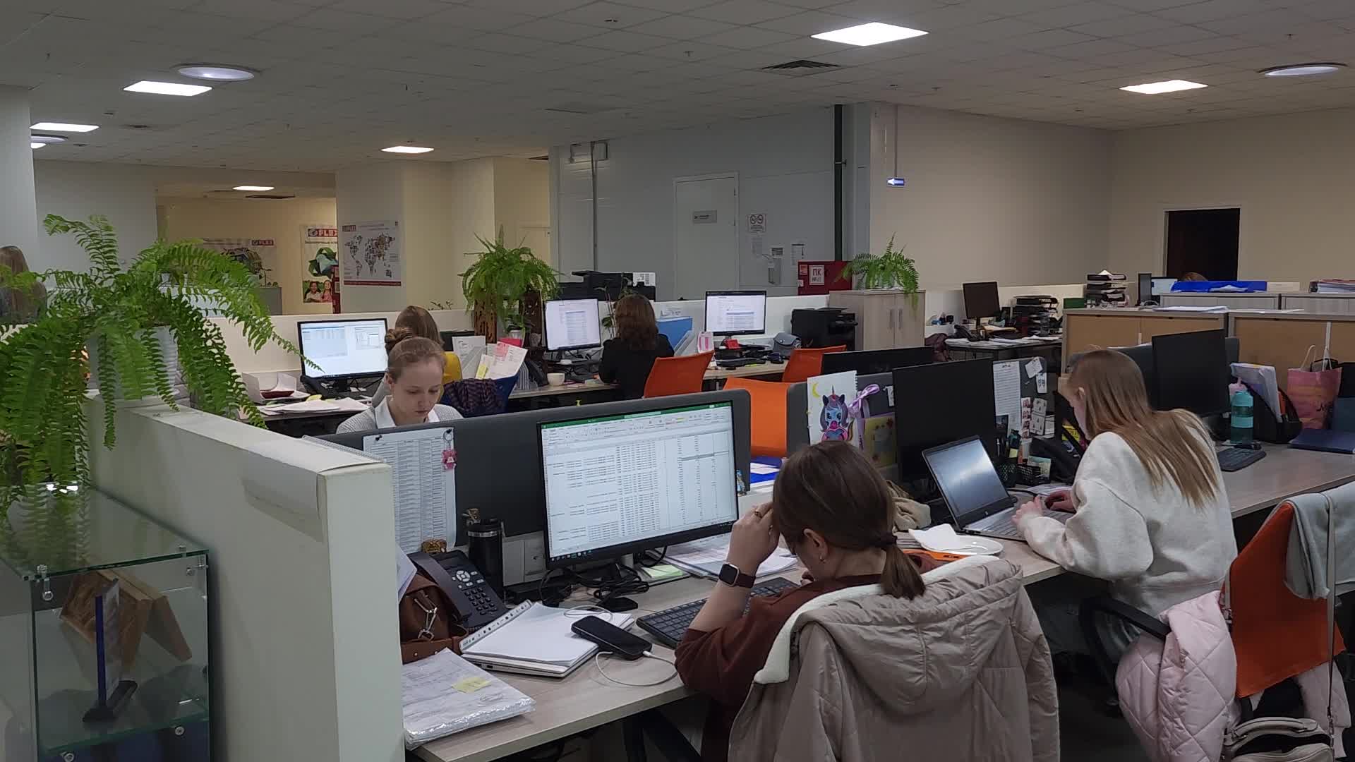 /mediabank_mount//67155/403b55b15f84df5e4145a1a8ba12df84.jpg