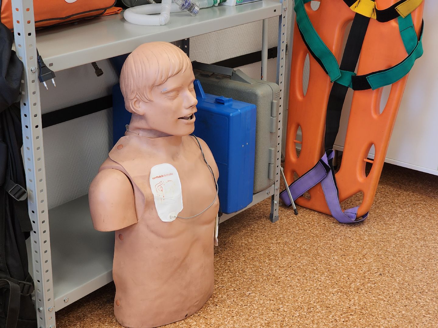 ногинск, скорая помощь, подстанция скорой помощи, медицина, обучение, фельдшер,