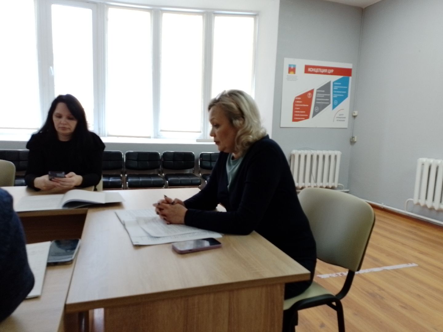 городской округ восход, благоустройство, совещание, совет депутатов,