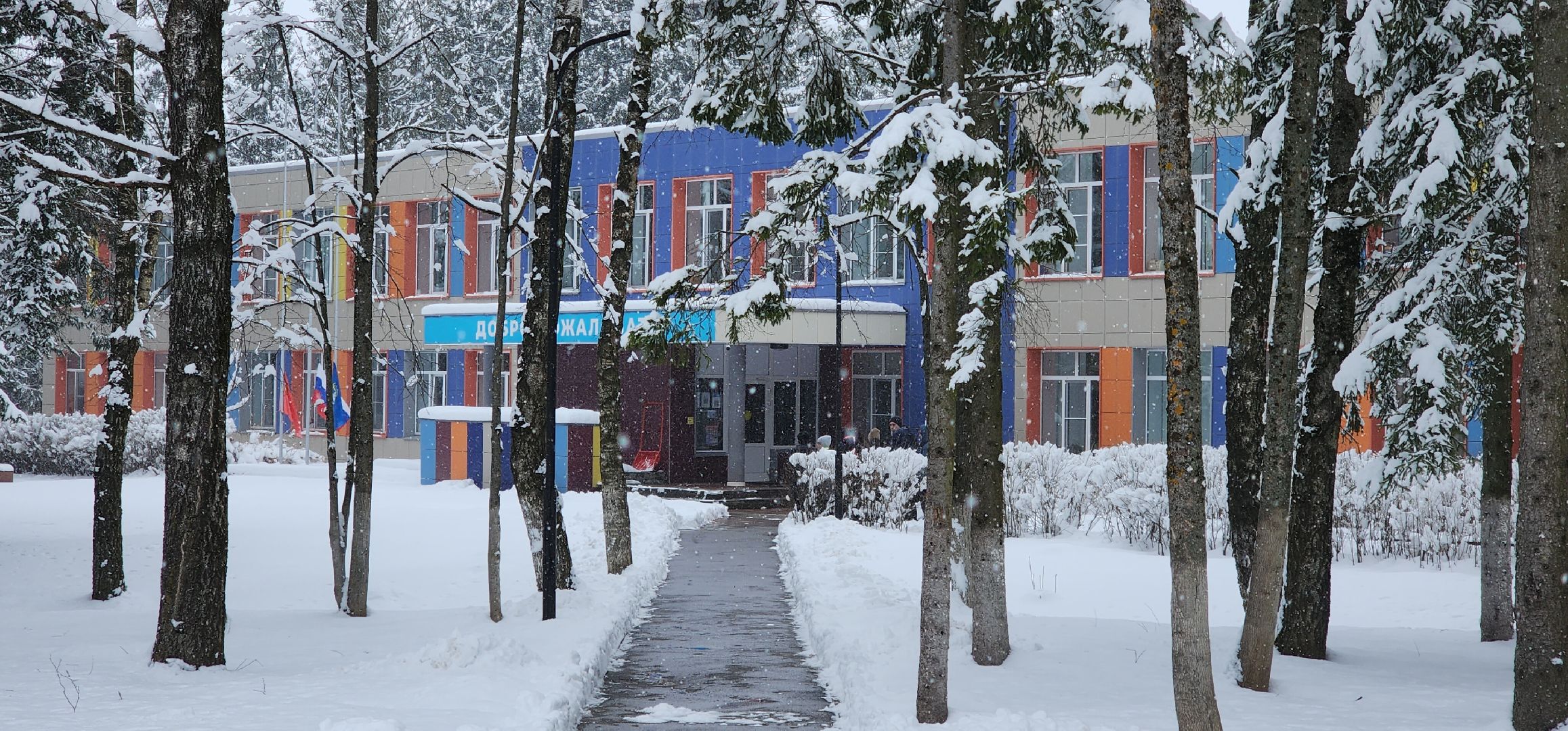 Транспорт, Образование, Школьные автобусы, Безопасность детей,