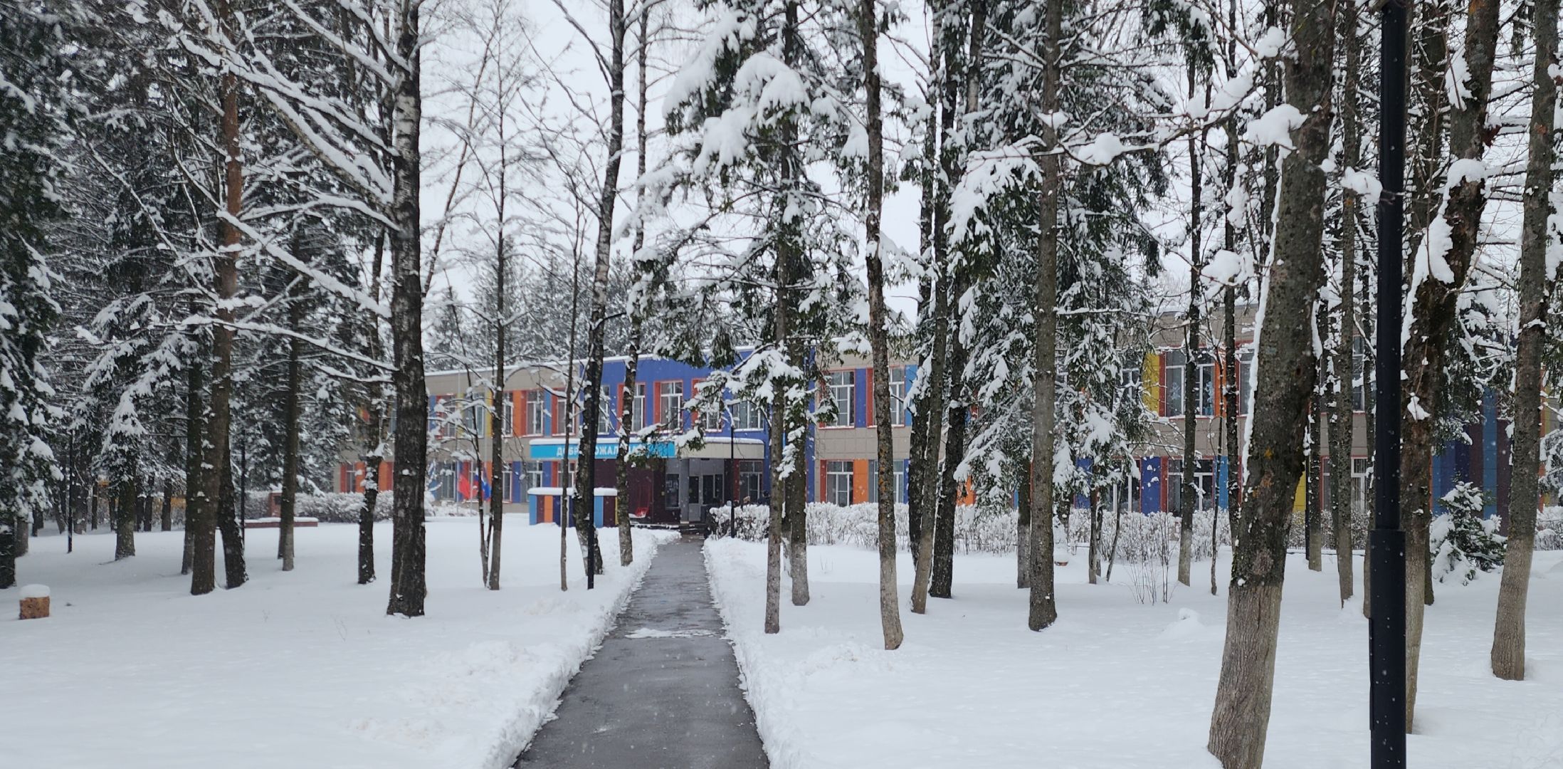 Транспорт, Образование, Школьные автобусы, Безопасность детей,