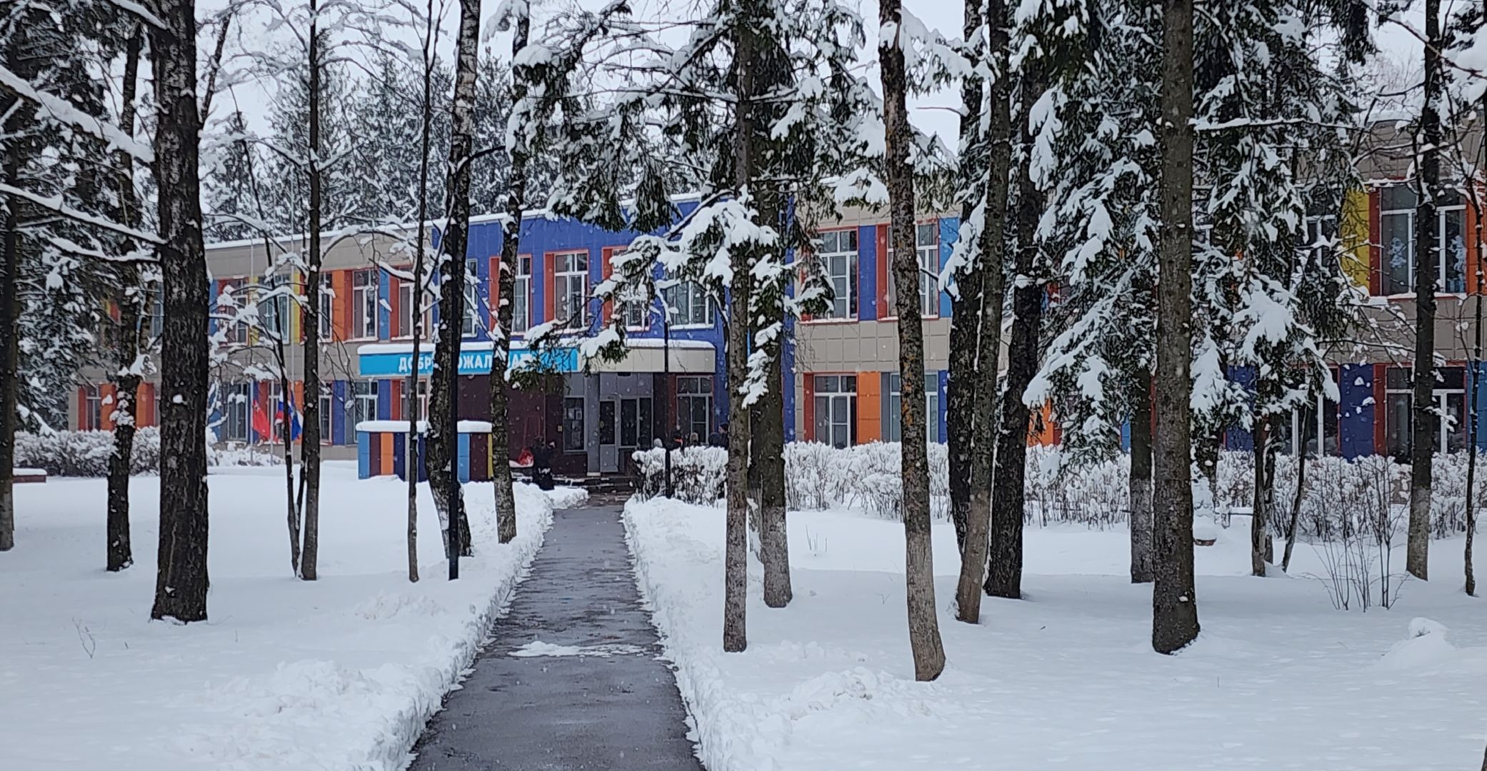 Транспорт, Образование, Школьные автобусы, Безопасность детей,