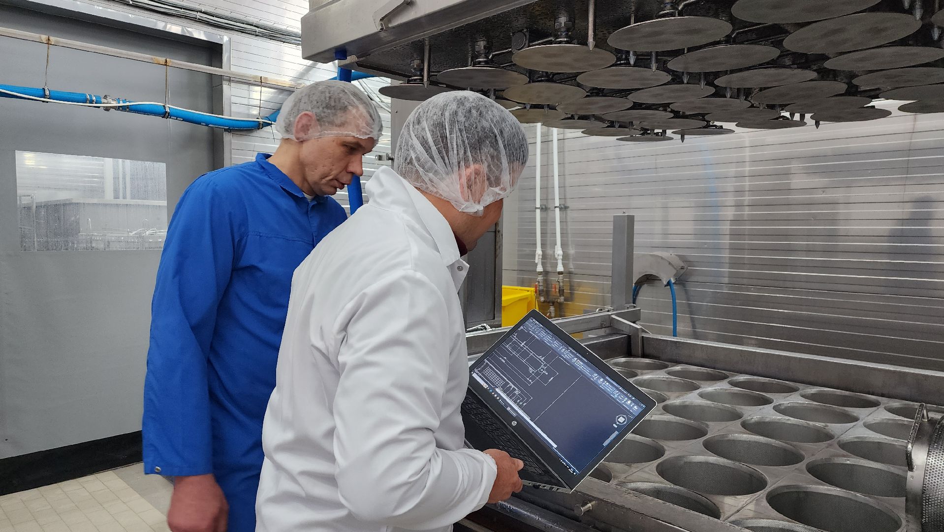 сыроварня, истра, импортозамещение,