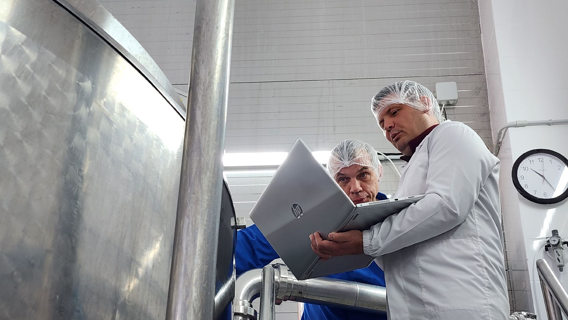 сыроварня, истра, импортозамещение,