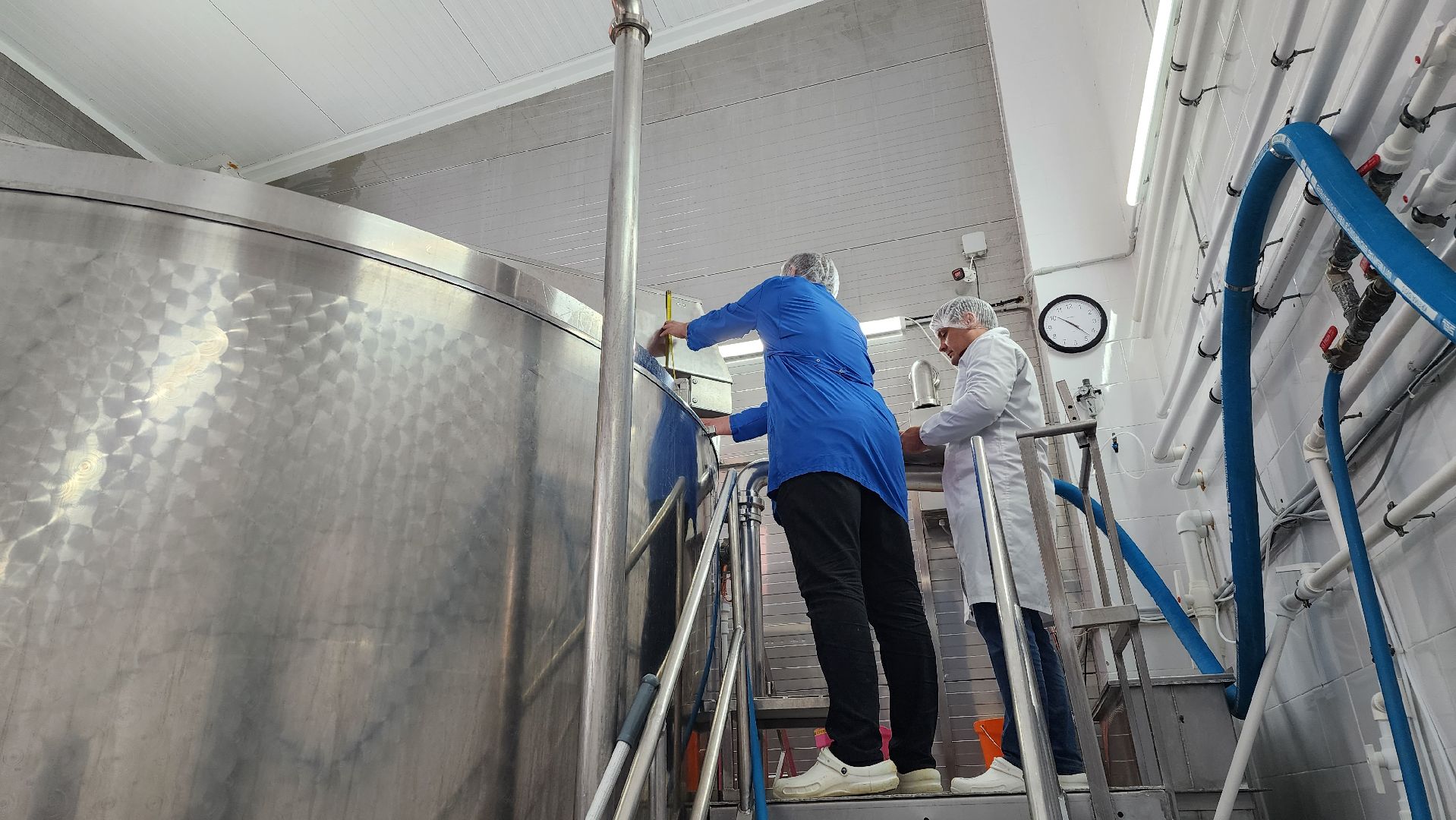 сыроварня, истра, импортозамещение,