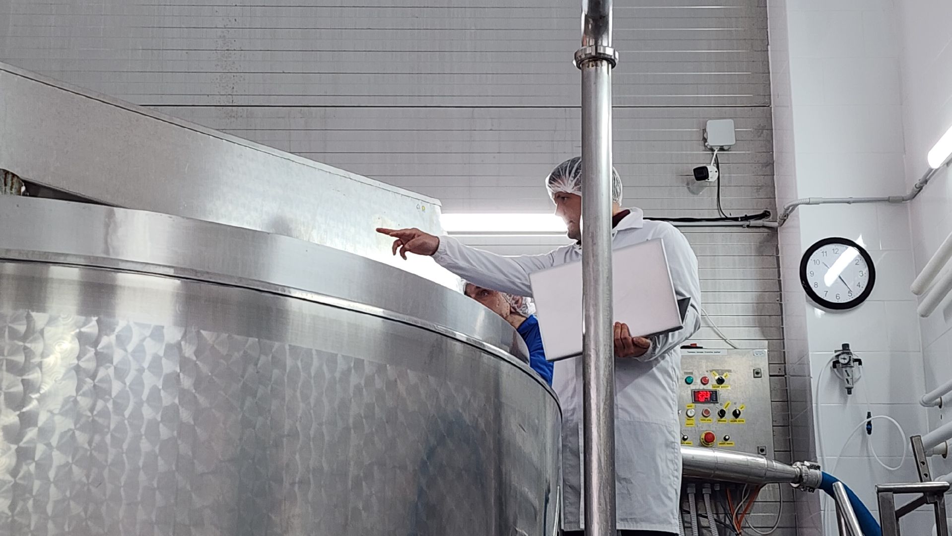 сыроварня, истра, импортозамещение,