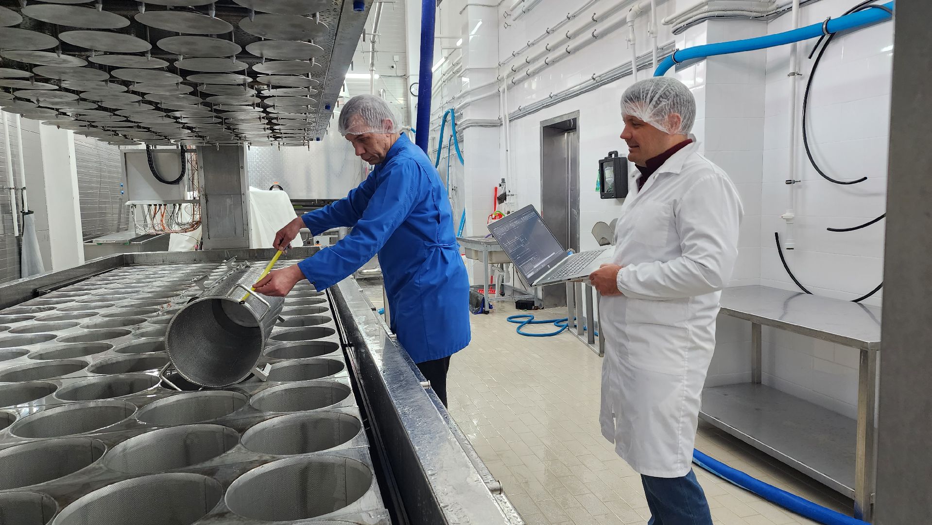 сыроварня, истра, импортозамещение,