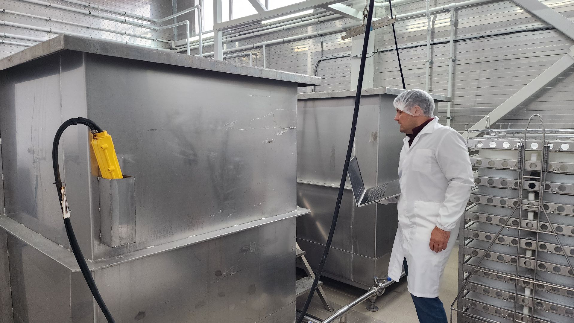 сыроварня, истра, импортозамещение,