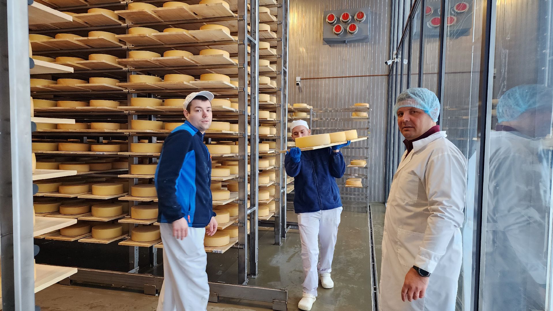 сыроварня, истра, импортозамещение,