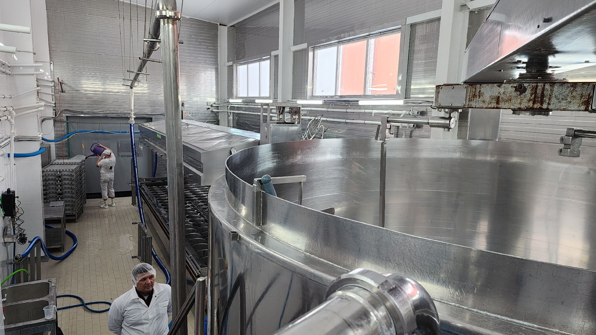 сыроварня, истра, импортозамещение,