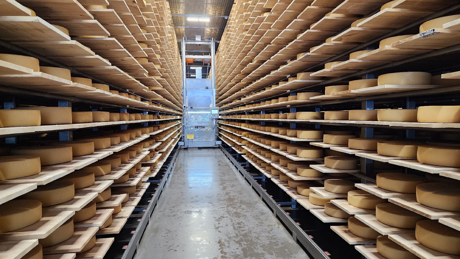 сыроварня, истра, импортозамещение,