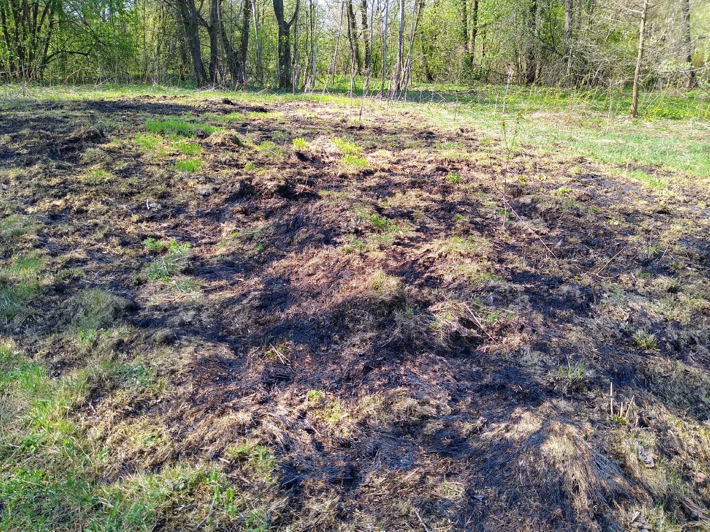 Раменское, пожарная, безопасность, пал травы