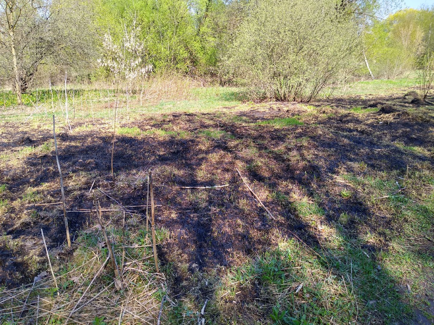 Раменское, пожарная, безопасность, пал травы