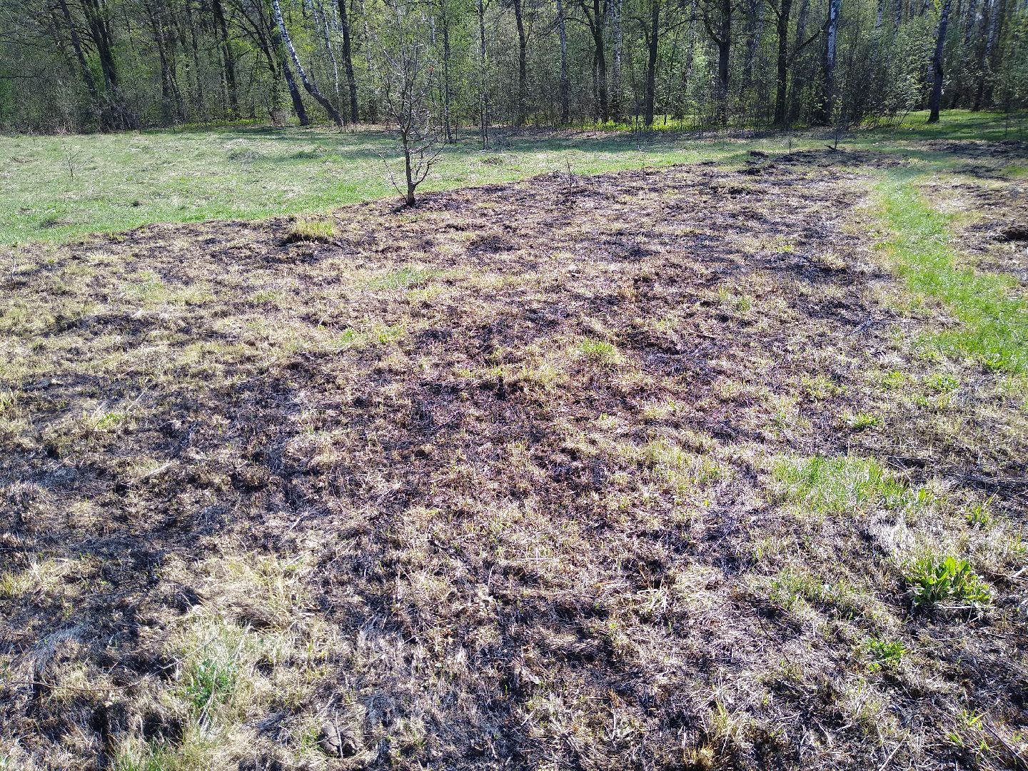 Раменское, пожарная, безопасность, пал травы