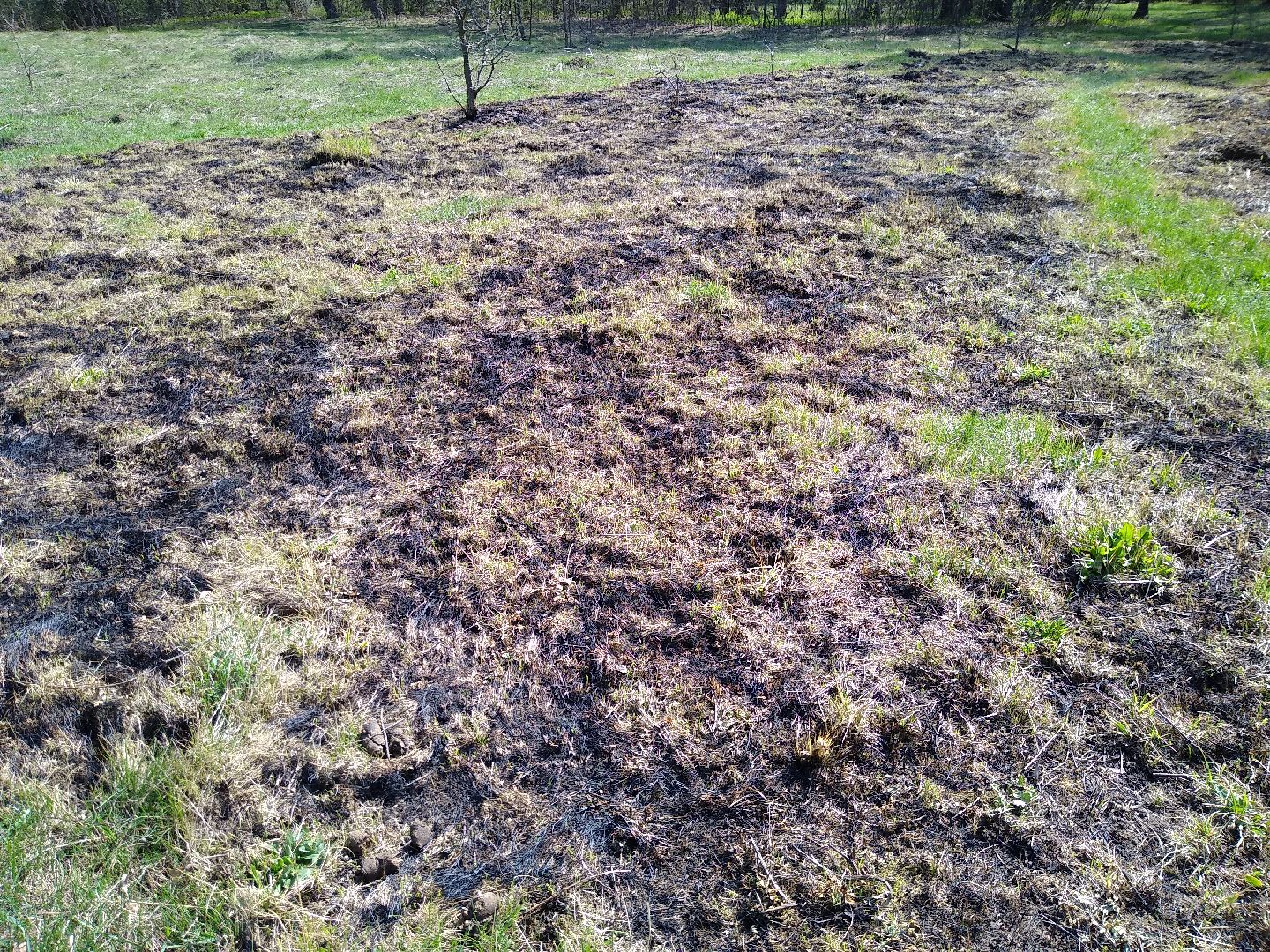 Раменское, пожарная, безопасность, пал травы