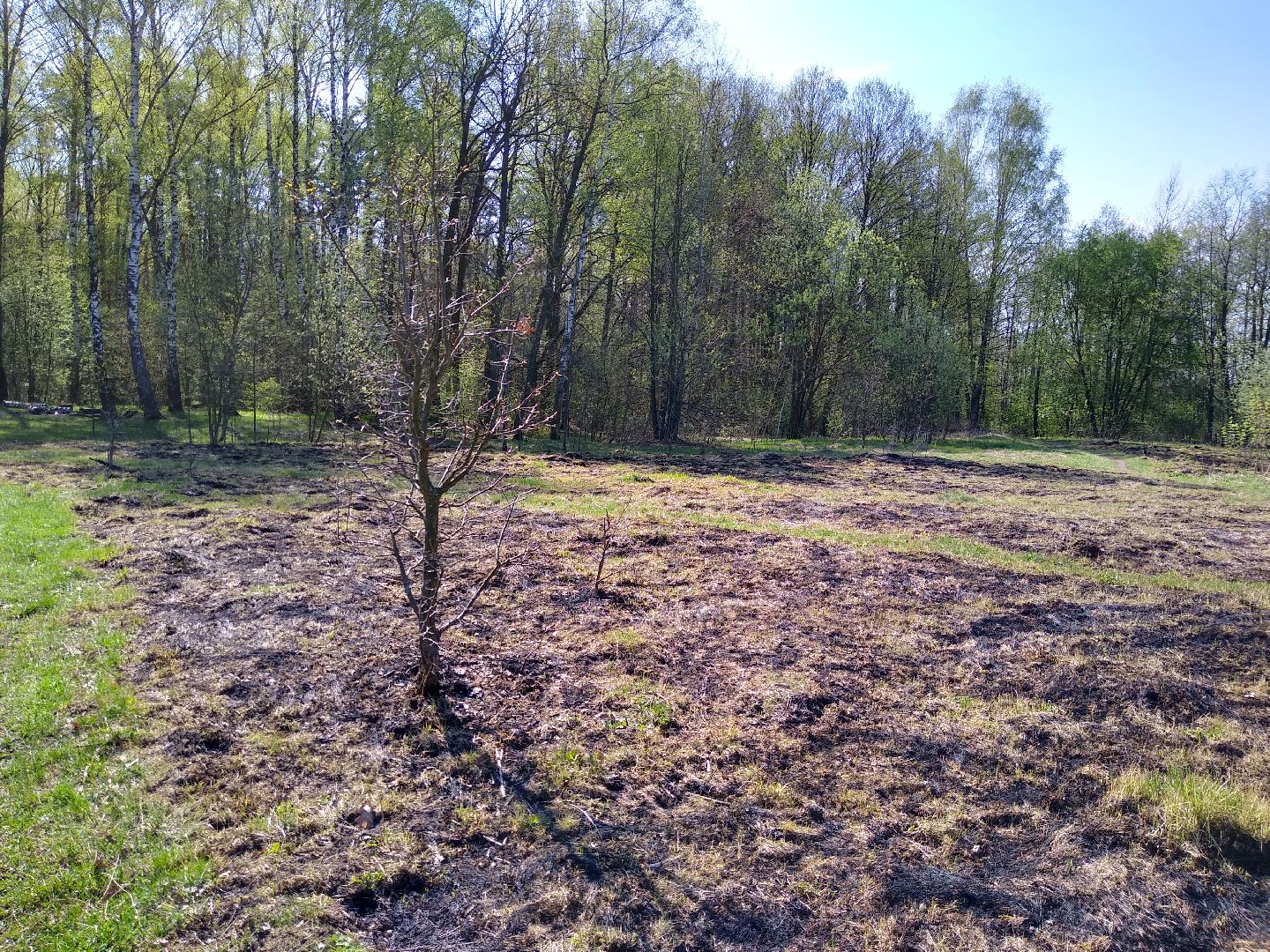 Раменское, пожарная, безопасность, пал травы
