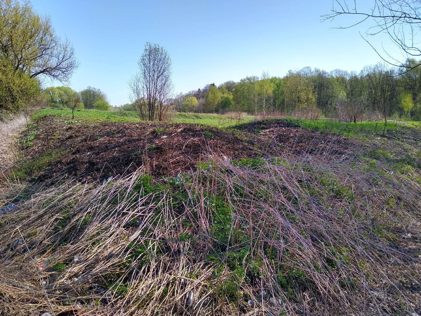 Раменское, пожарная, безопасность, пал травы