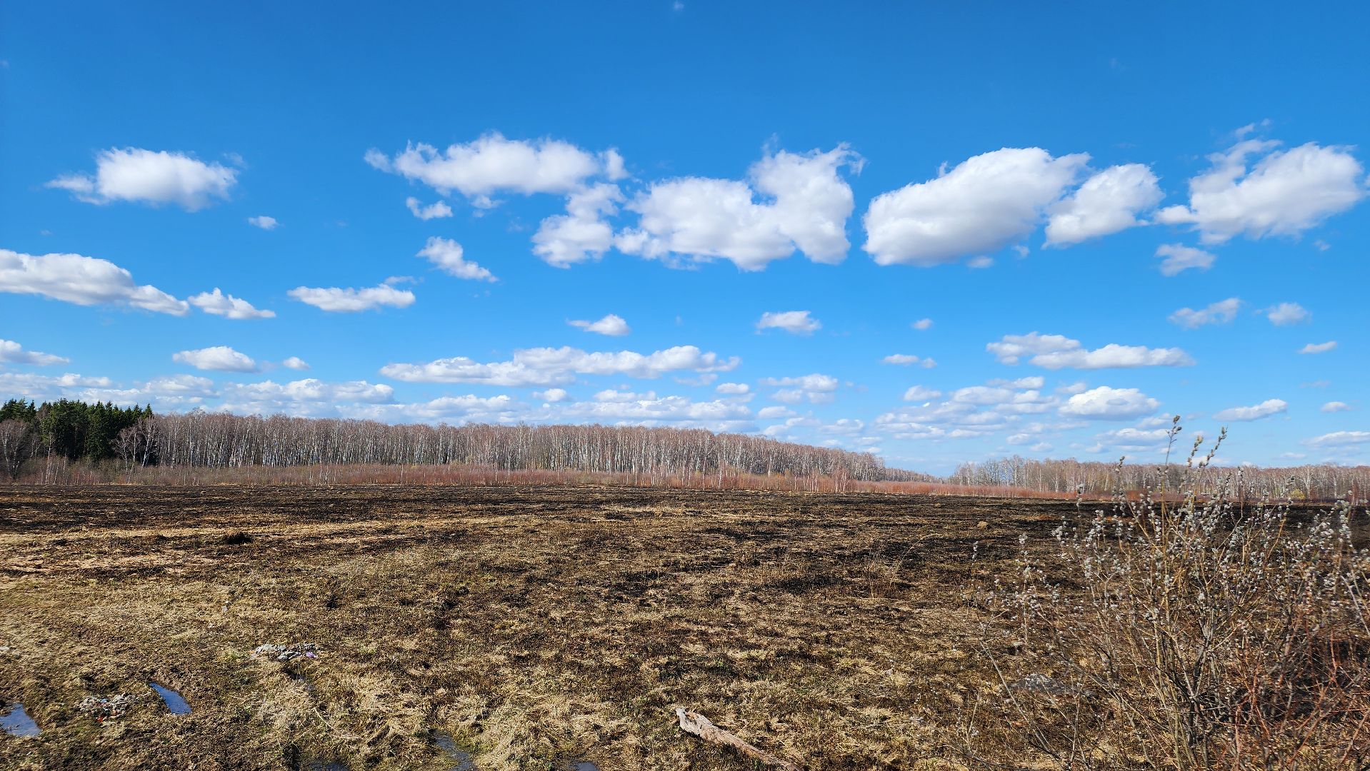 ступино, ступино квадрат, экономика,