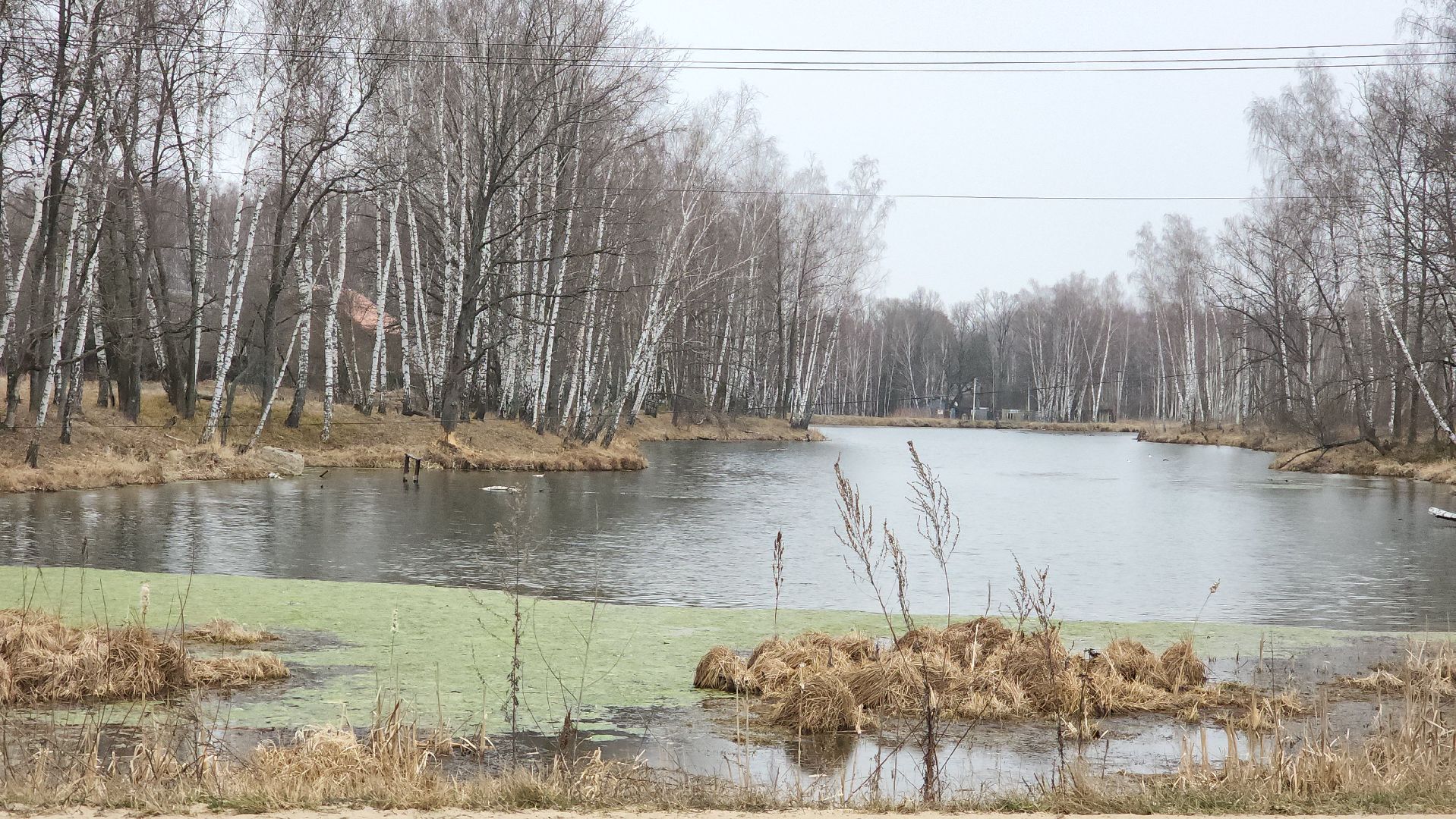 ступино, ступино квадрат, экономика,