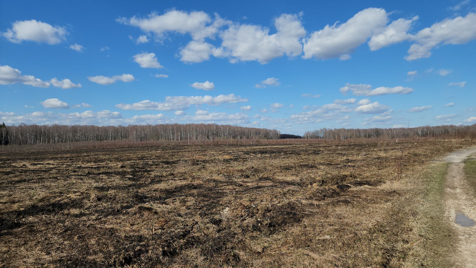 ступино, ступино квадрат, экономика,
