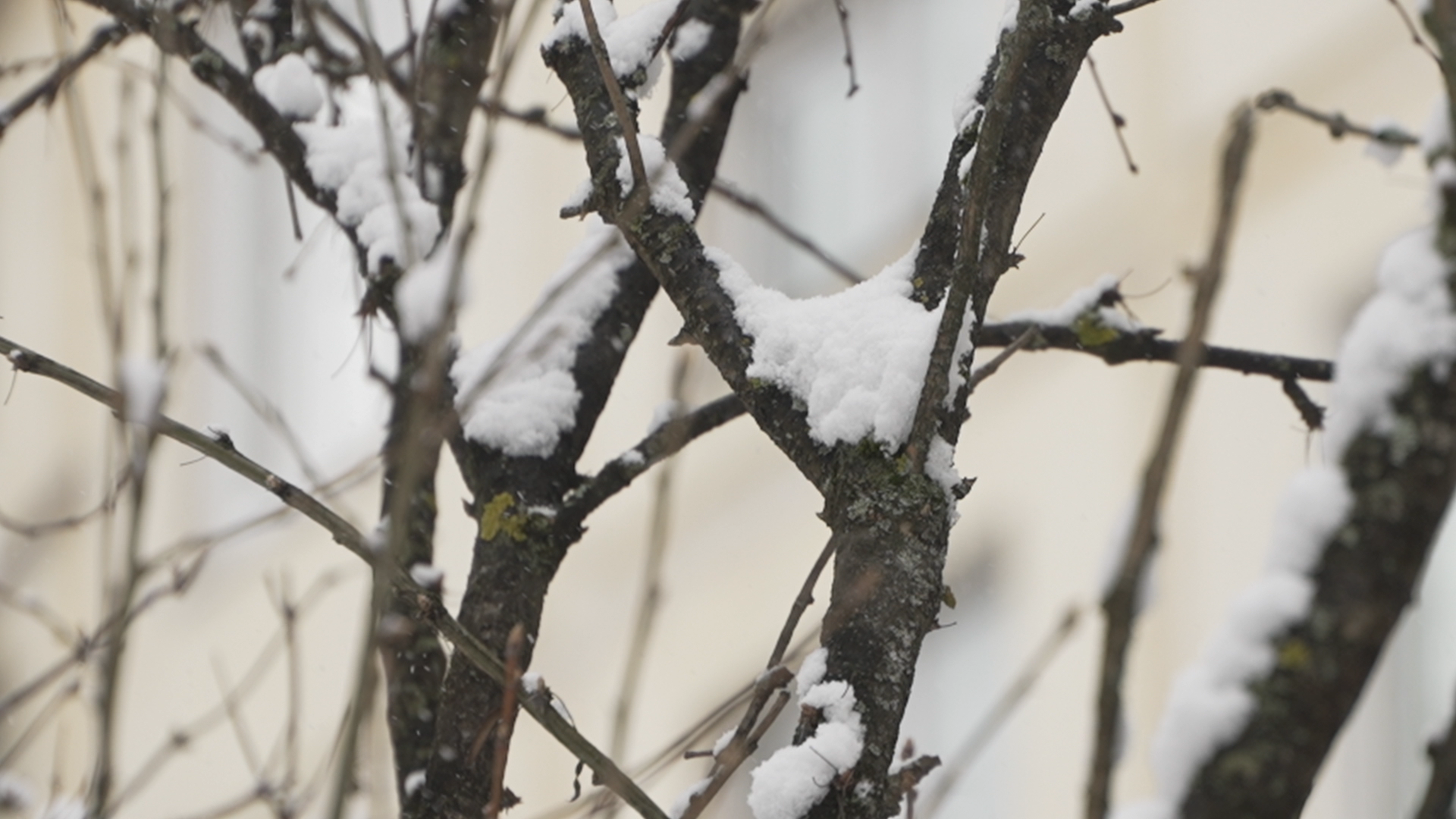 уборка территории, апрельский снег, мку жкх и благоустройство, уборка снега власиха, цветной бульвар власиха,
