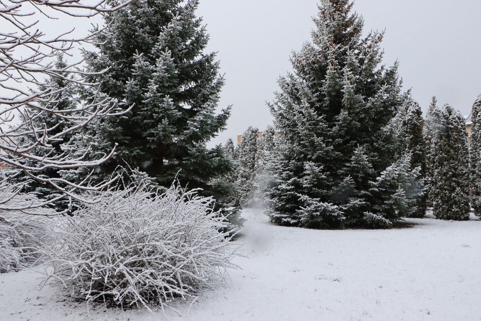 серебряные пруды, апрельский снег,