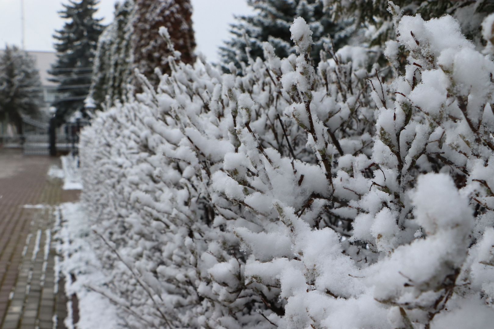 серебряные пруды, апрельский снег,