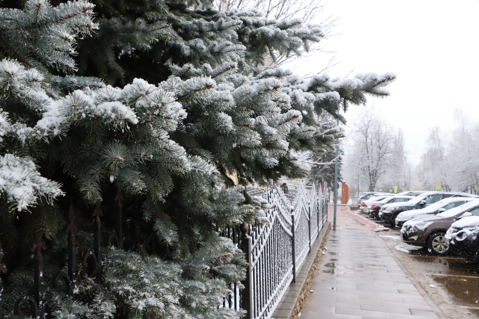 серебряные пруды, апрельский снег,