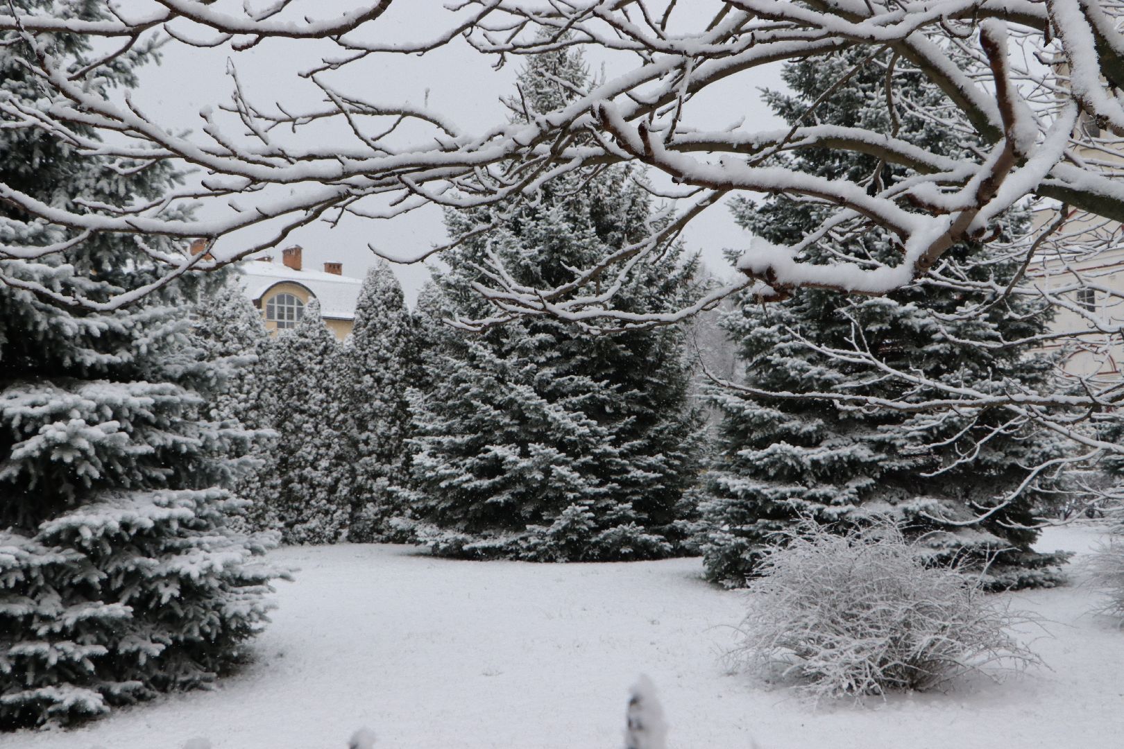 серебряные пруды, апрельский снег,