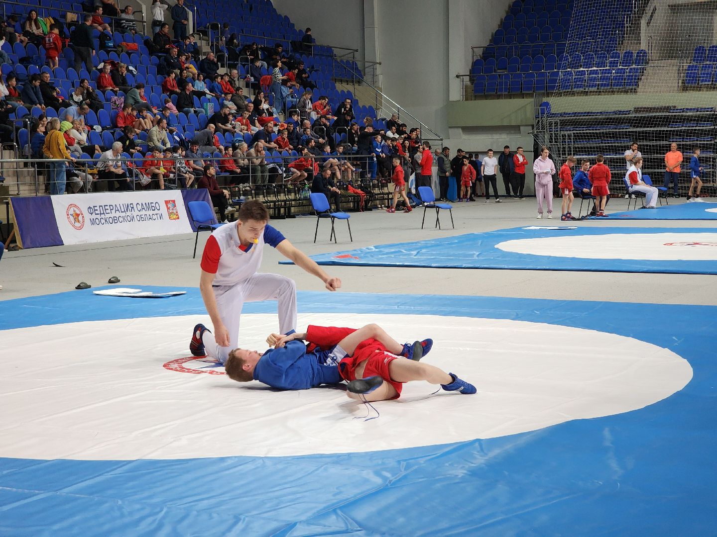 спорт, соревнования, самбо,