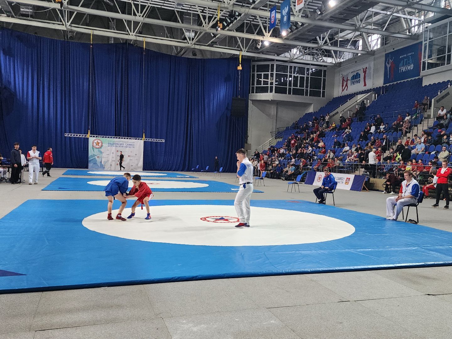 спорт, соревнования, самбо,