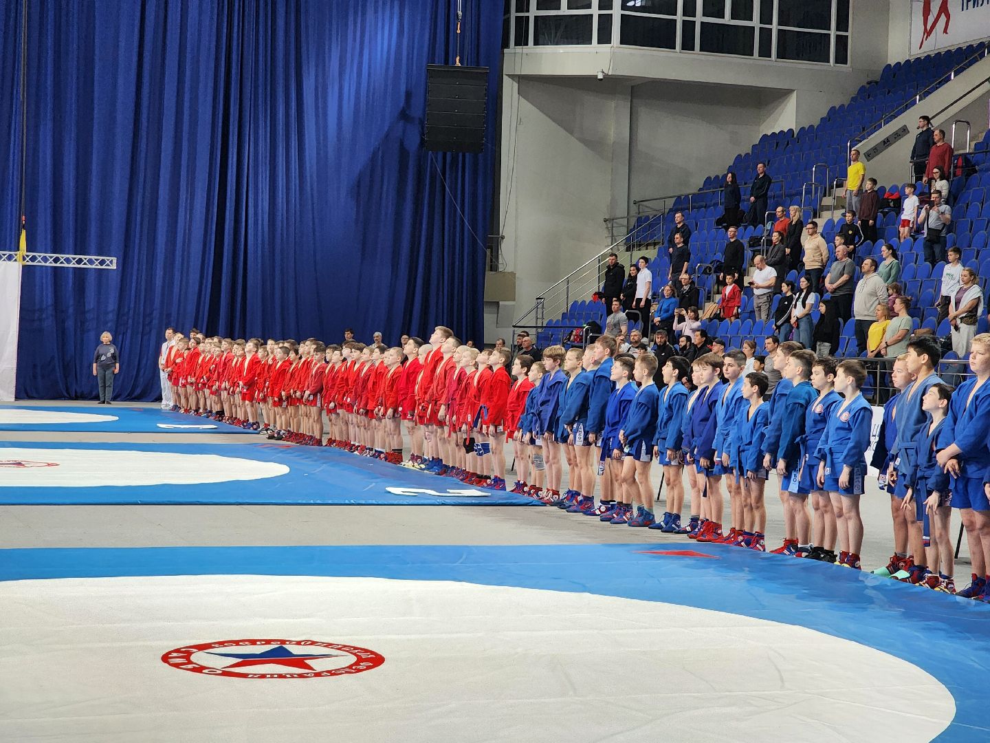 спорт, соревнования, самбо,