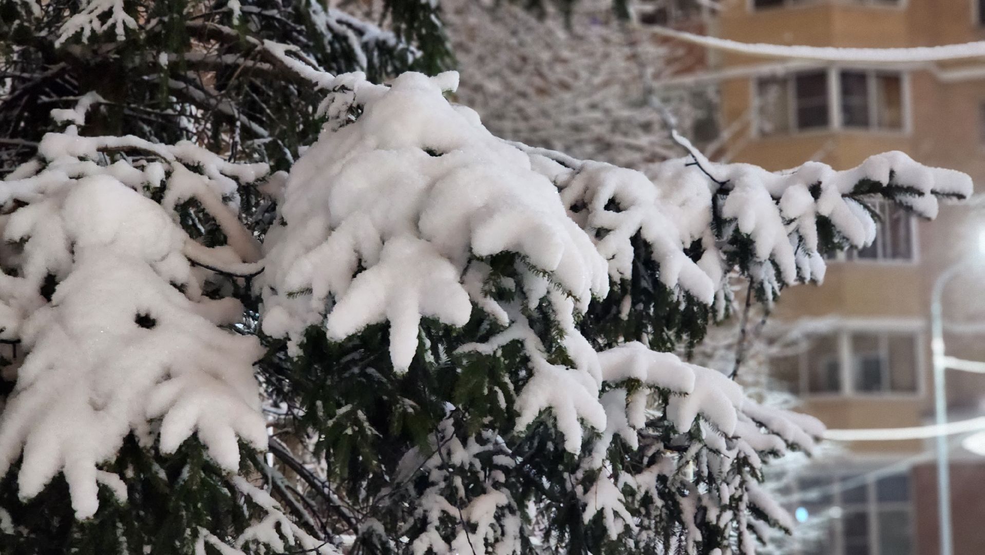 люберцы, сход снега, мокрый снег, автомобили,